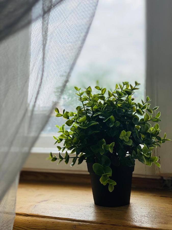 Cosy Apartment 里加 外观 照片