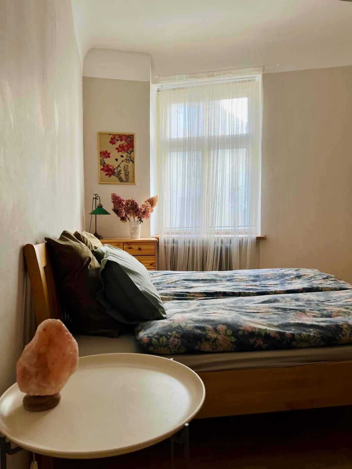 Cosy Apartment 里加 外观 照片