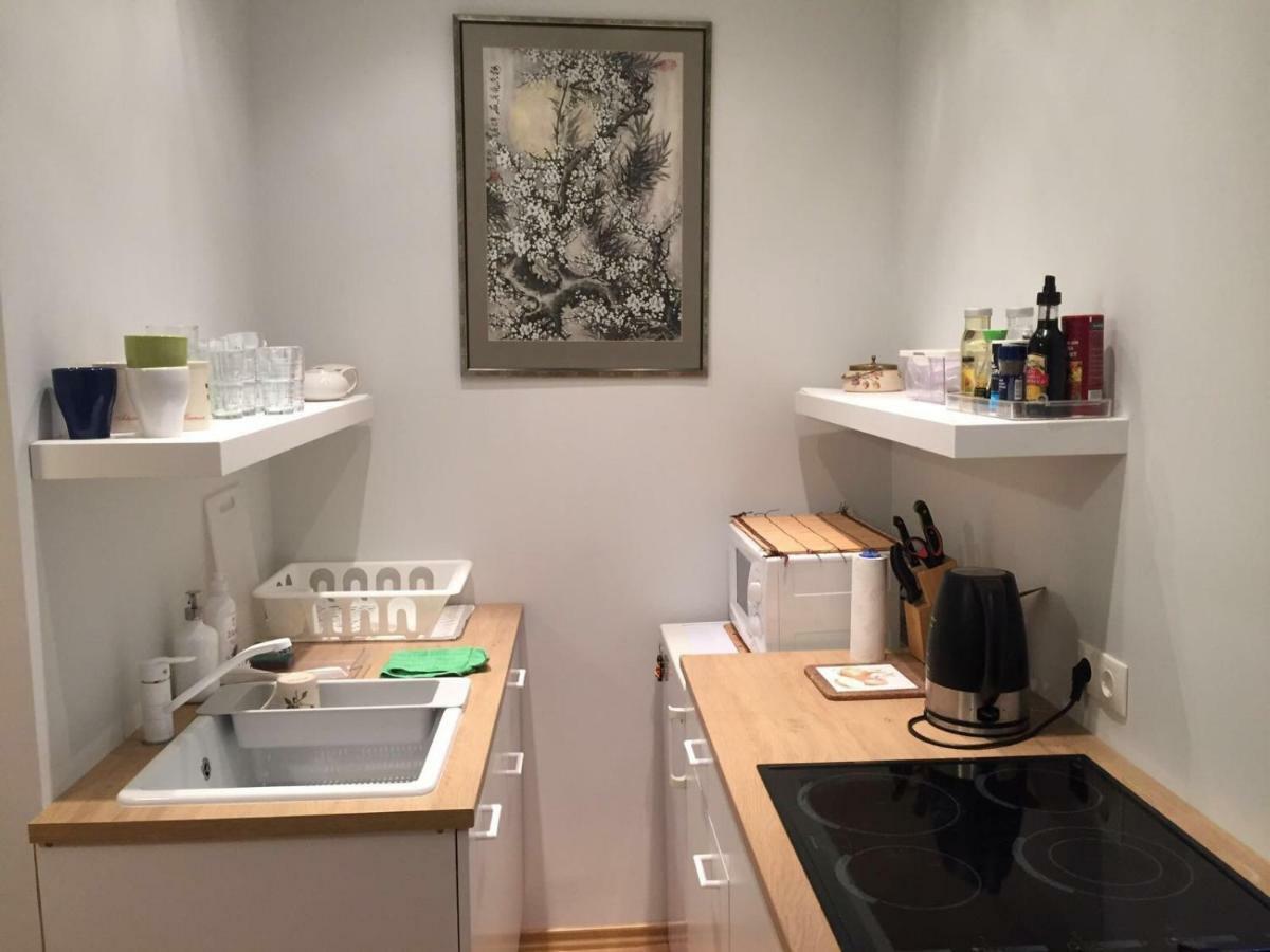 Cosy Apartment 里加 外观 照片